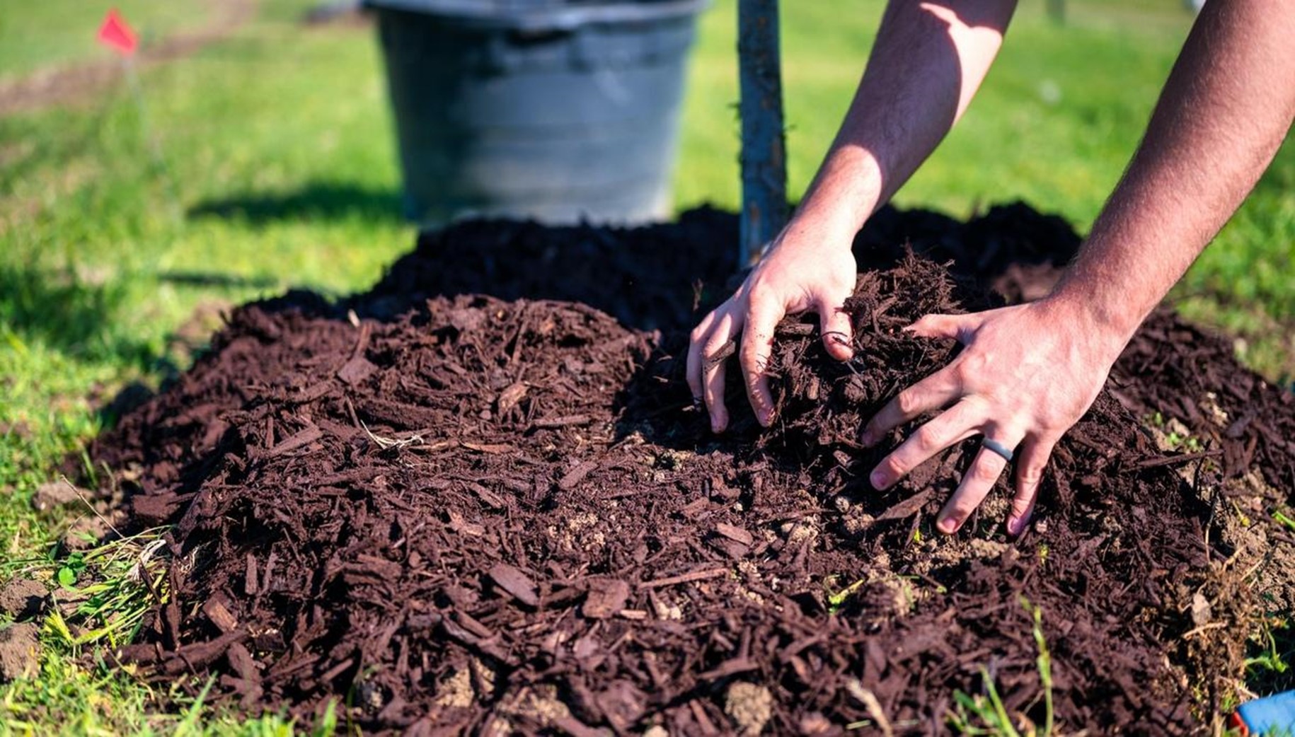 Garden-weed-control