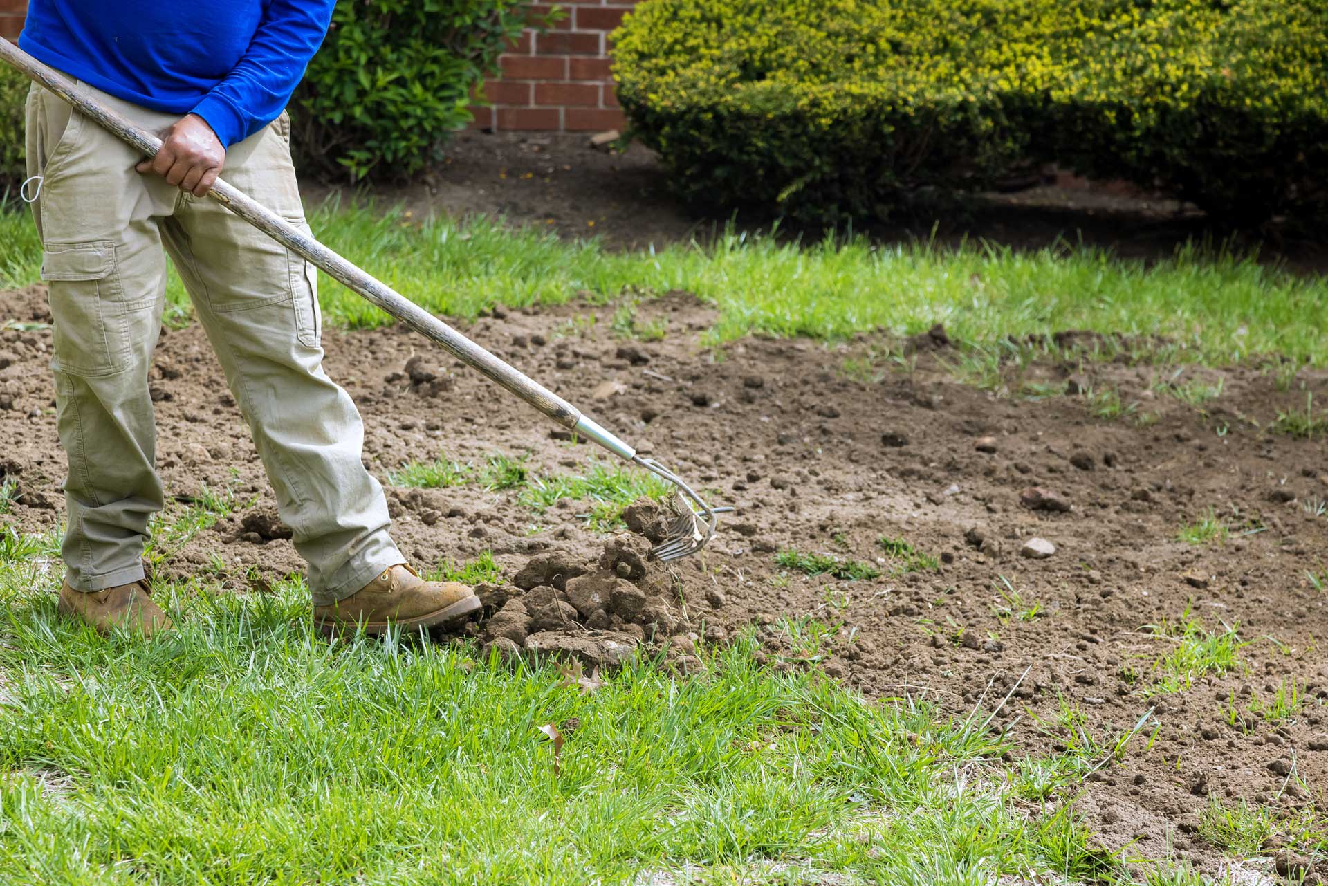 Top-dressing-lawn