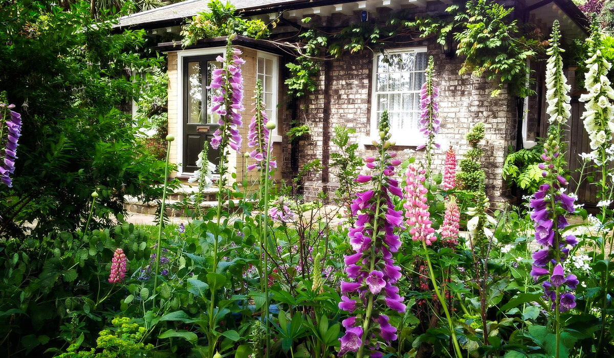 flowers-in-garden