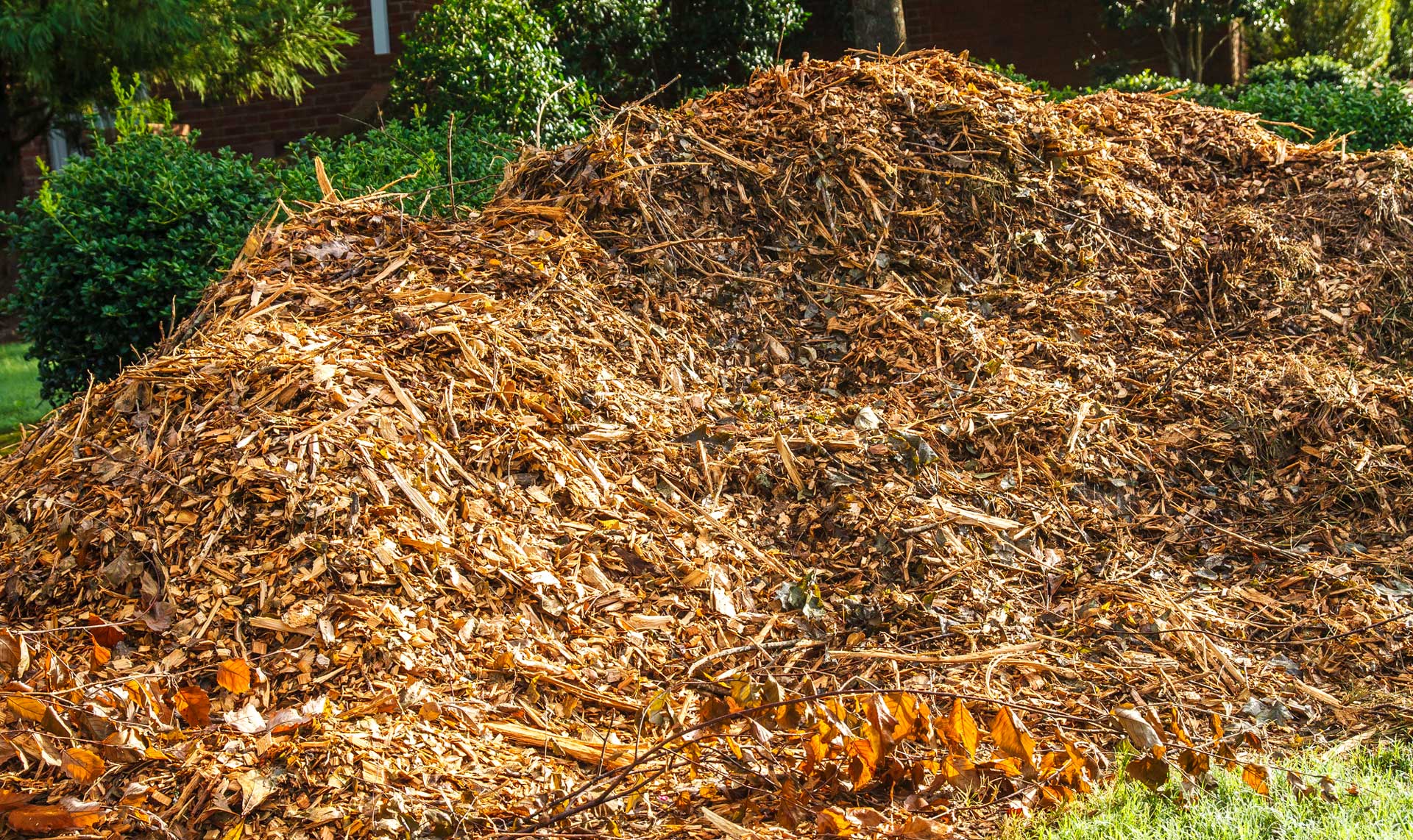 mulch-yard-waste