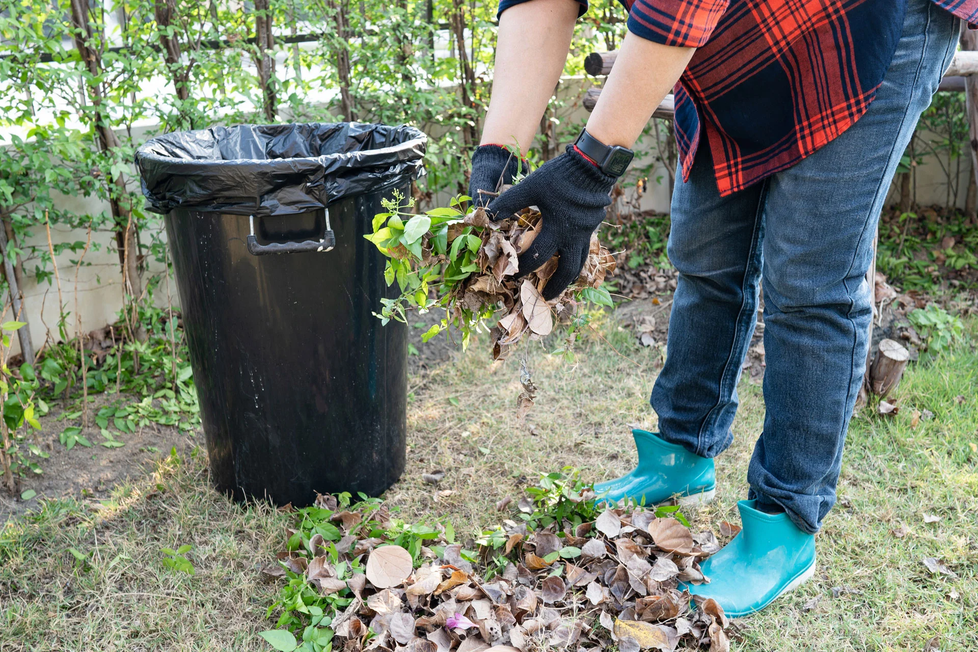 yard-debris-disposal