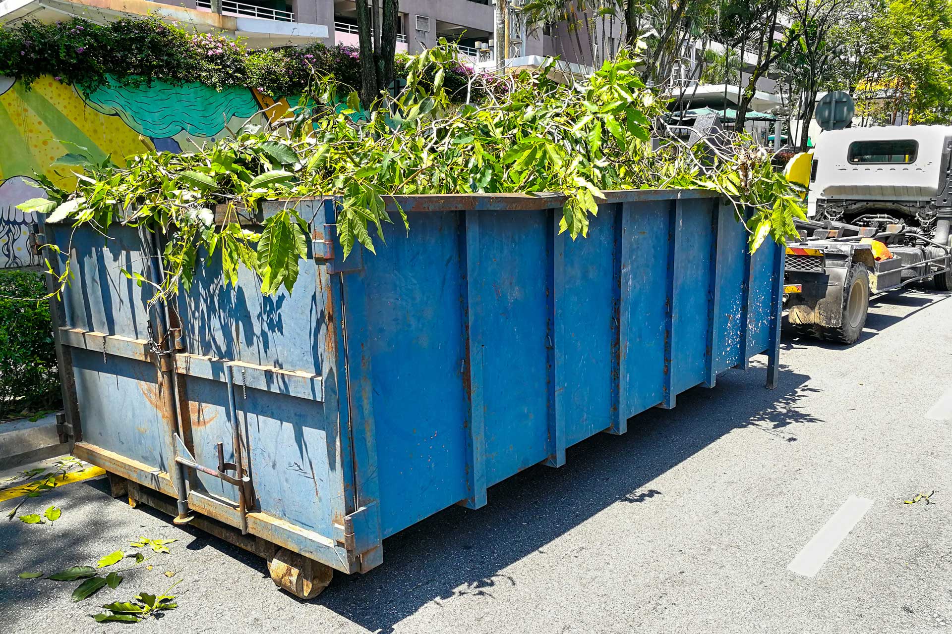 yard-waste-removal-service
